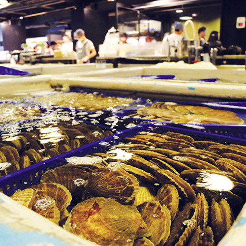 AddictionFishMarket_01