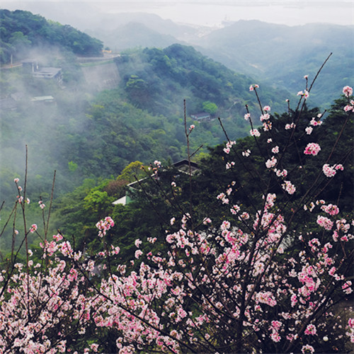 Jiufen_04