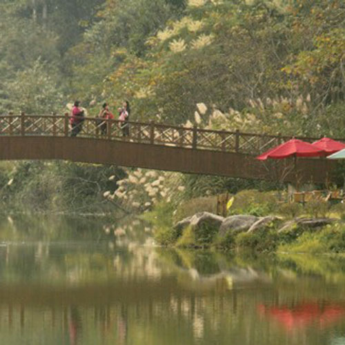 Miaoli007