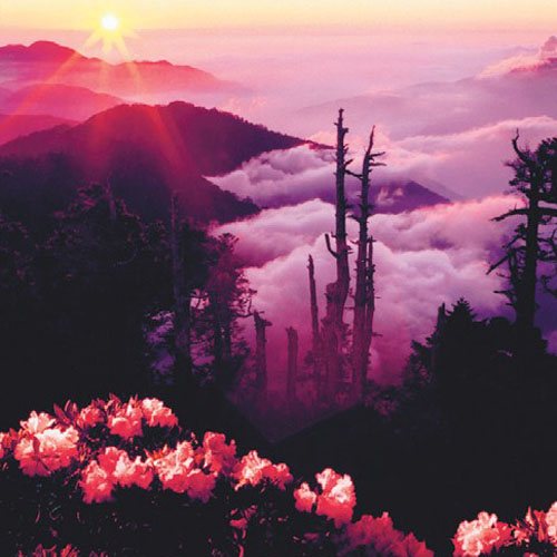 Nantou010
