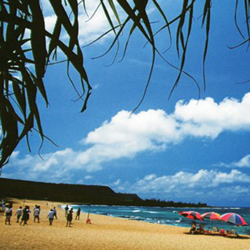Pingtung001