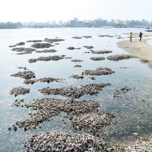 Pingtung005