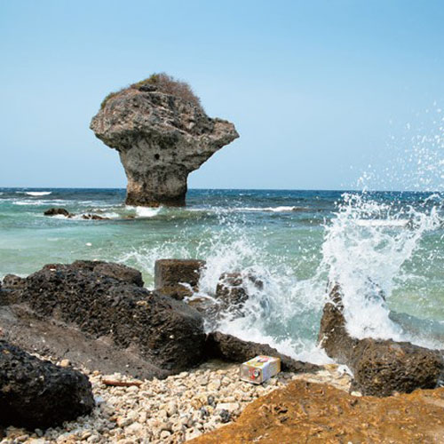 Pingtung008