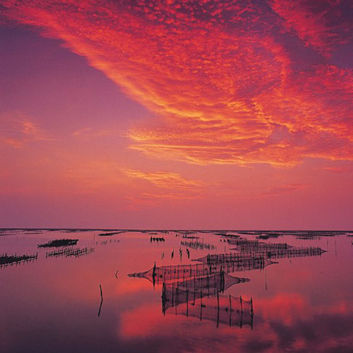 Tainan007