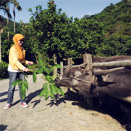 TouchengFarm_02