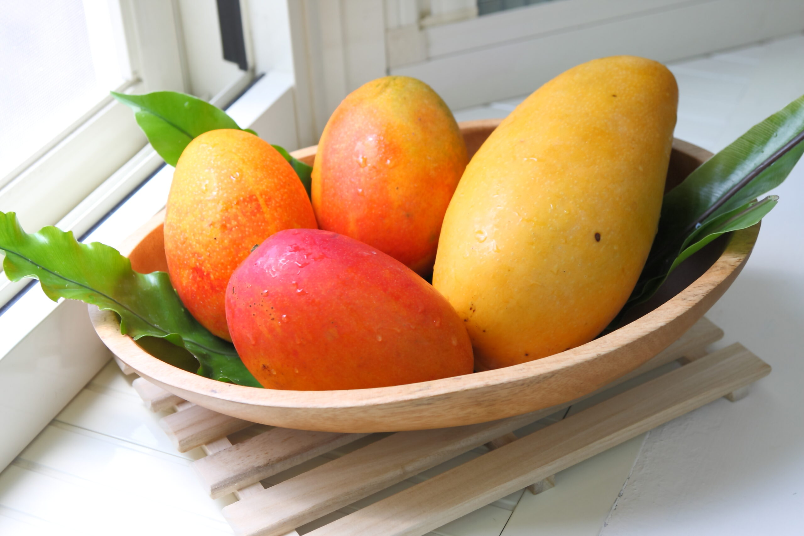 mango (1)