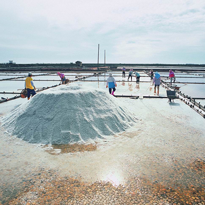 Salt Fields 400