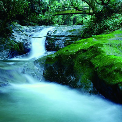 caoling area1