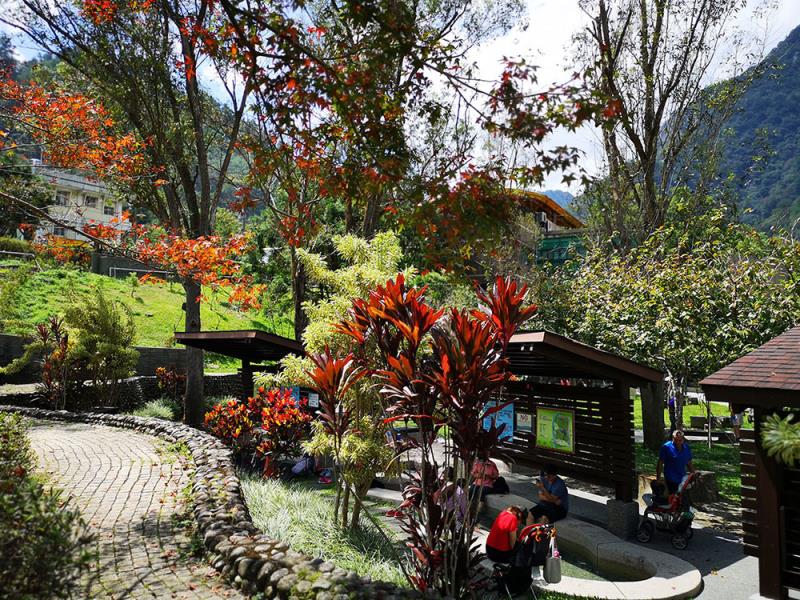 A scenic park with autumn foliage and lush greenery