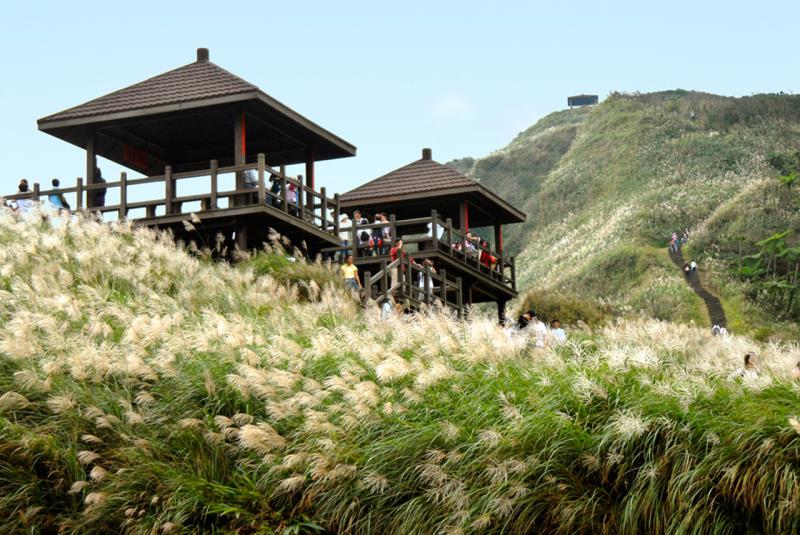 Two wooden pavilions stand amid a lush hillside covered with silver grass