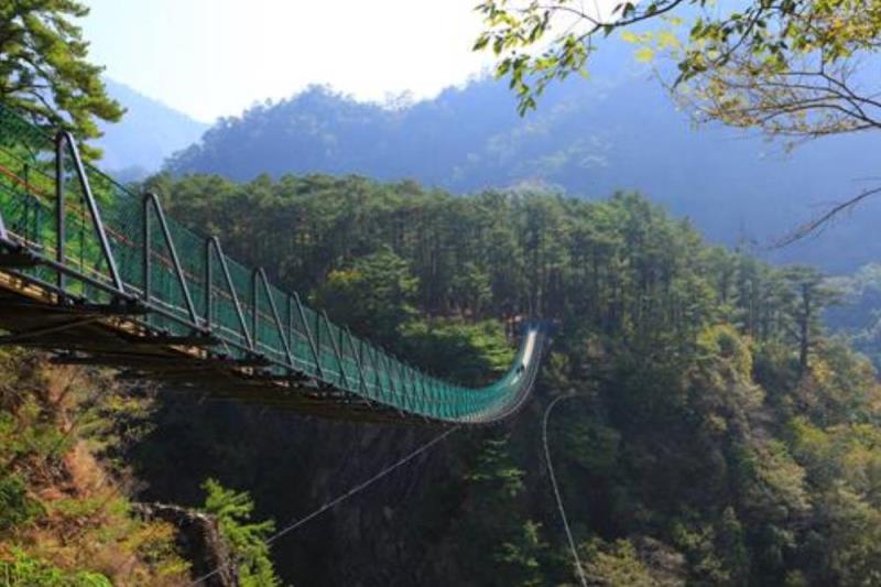 A narrow suspension bridge spans a deep forested valley, with lush greenery