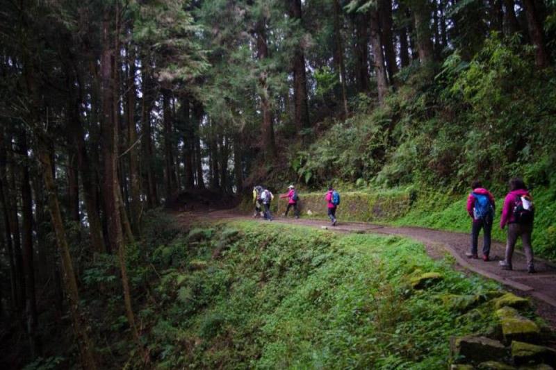 A group of hikers with backpacks walk along a lush, forested trail