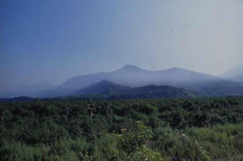 A misty mountain range under a clear blue sky, with lush green trees