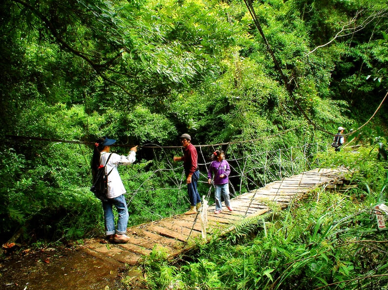 Four people crossing a narrow, rustic wooden bridge in lush