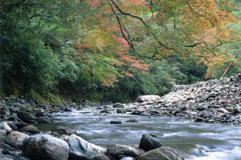 A river flows through a rocky forest