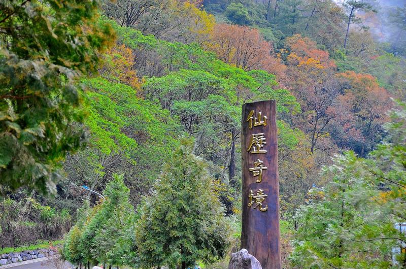 Tall wooden sign with Chinese characters, set against a lush green forest