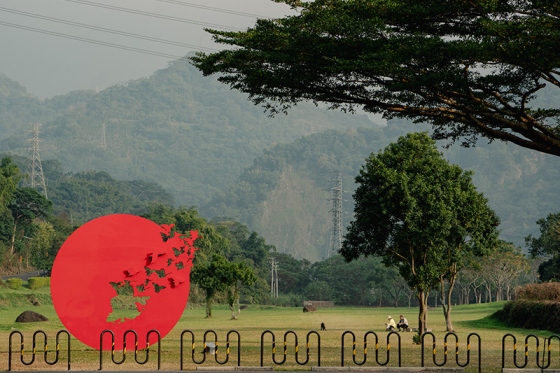 Padang Rumput Cinta Niupuzi