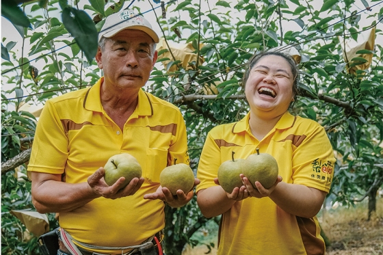 TCTH_01 Taichung, Dongshi: Kawasan Pertanian Rekreasi Kampung Pear