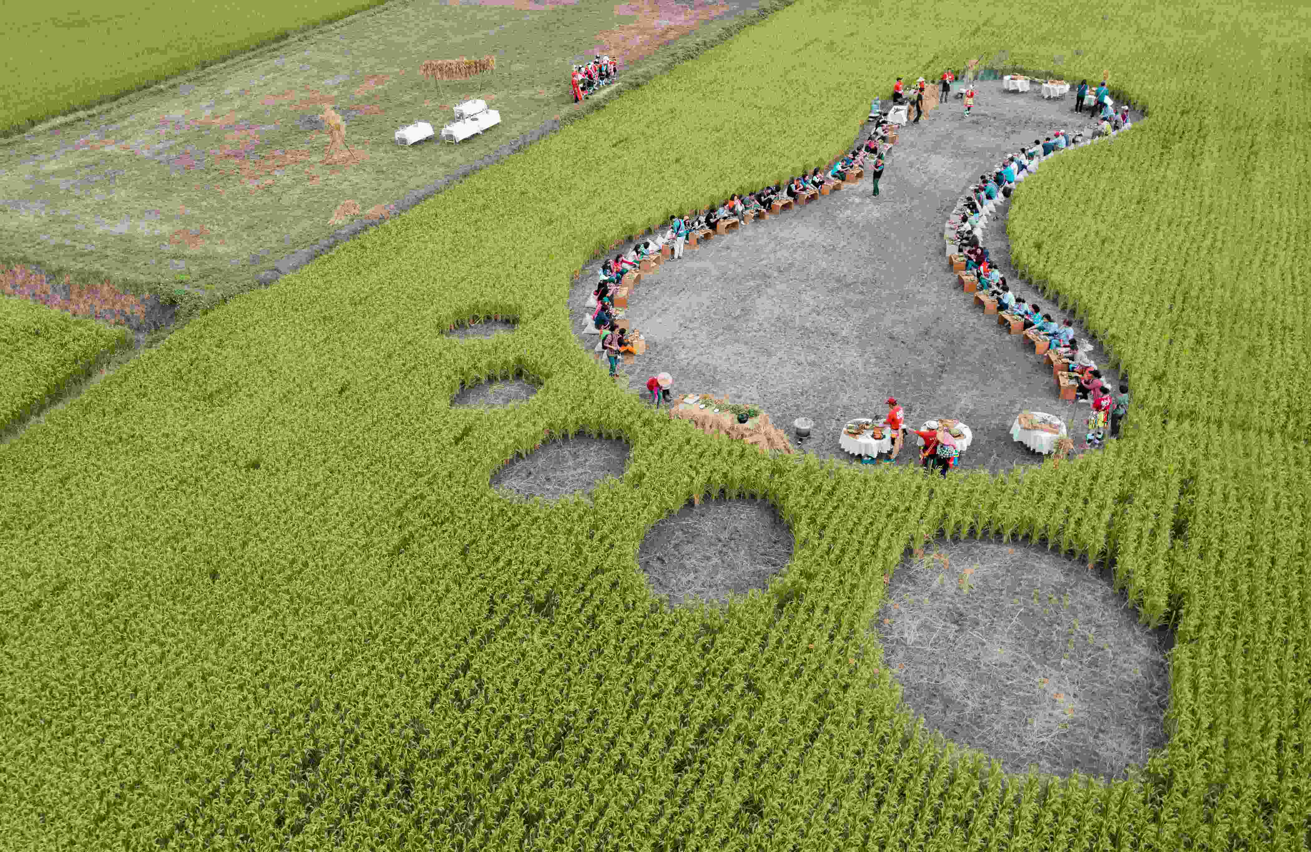Hidangan di sawah padi dengan jejak kaki gergasi
