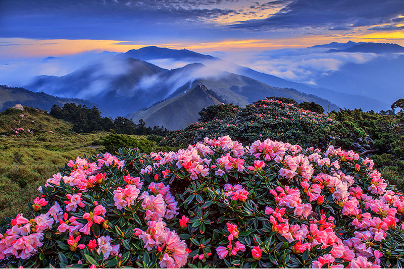 Kawasan Rekreasi Hutan Negara Hehuanshan