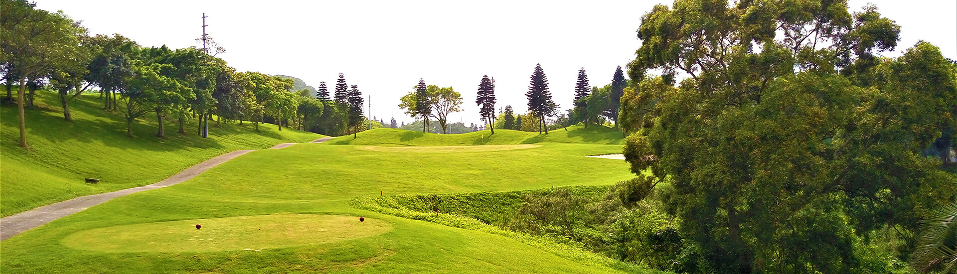 Hshinchu GC with trees