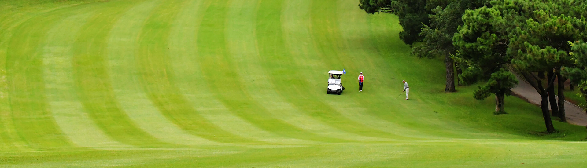 Hshinchu GC with Golf Cart