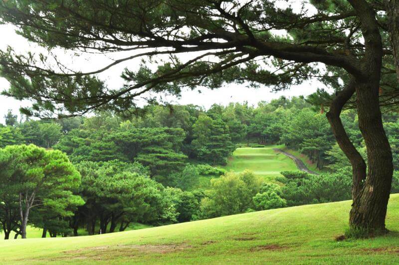 Hshinchu GC 13