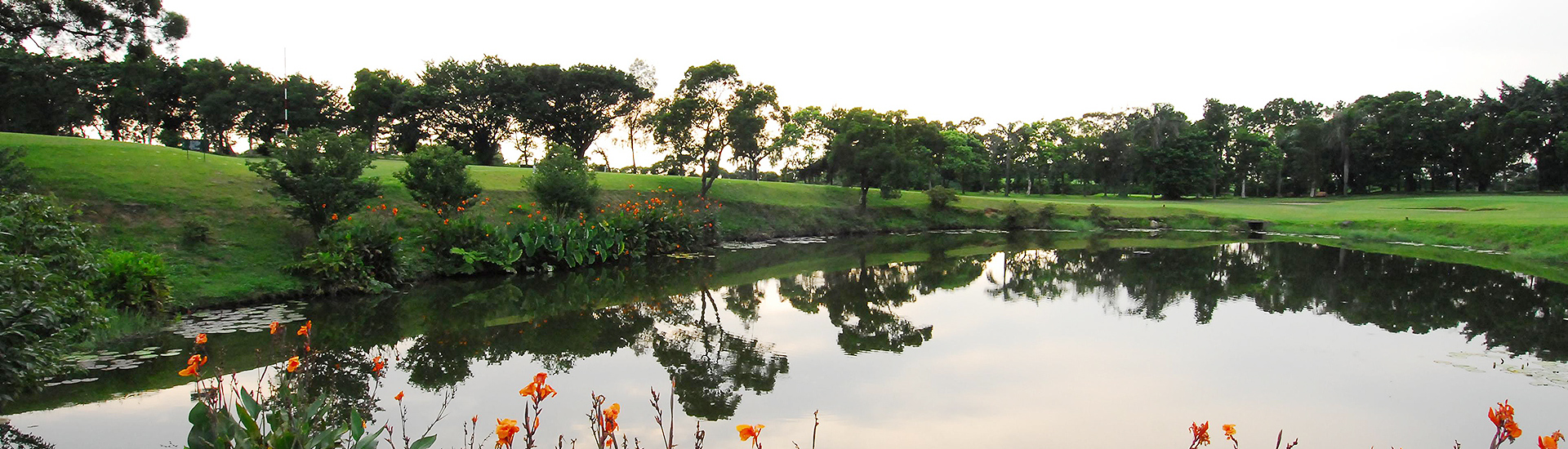 scenic view of a water hazard and manicured green fairway
