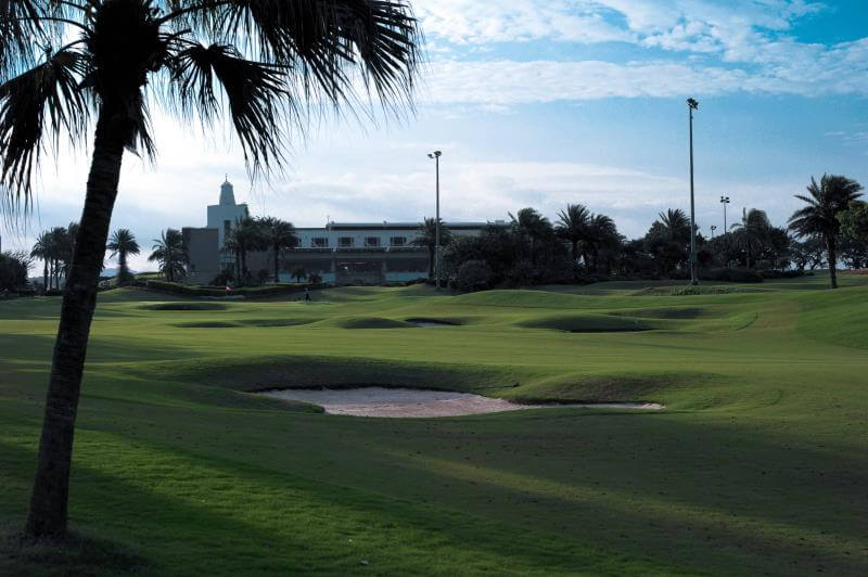 TY Golf Club Palm Tree