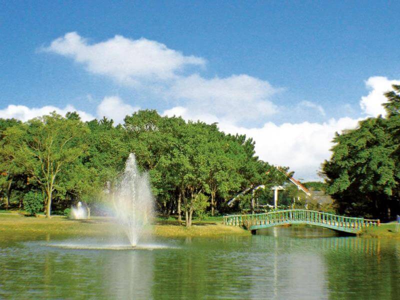 Golf Club TY Fountain