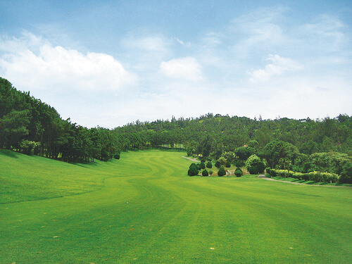 Golf Club Green Grass