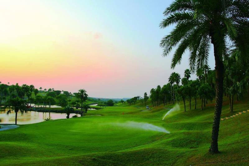 TY Golf Club evening