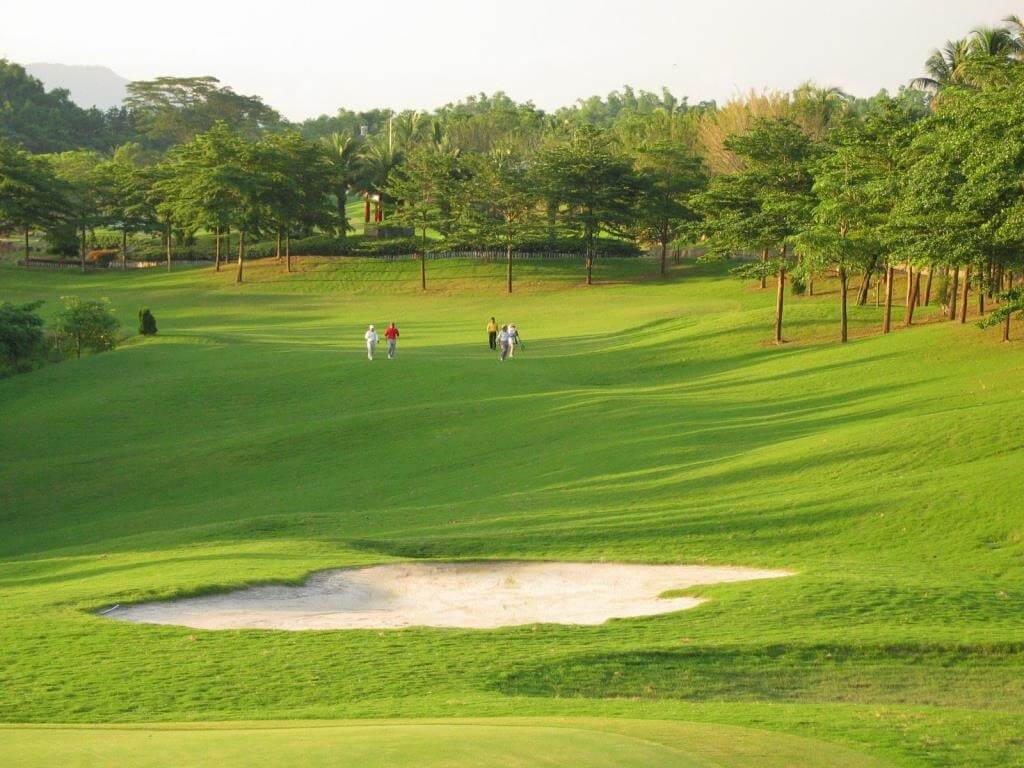 lush green golf course fairway featuring a sand bunker in the foreground and a line of dense trees in the background under bright daylight