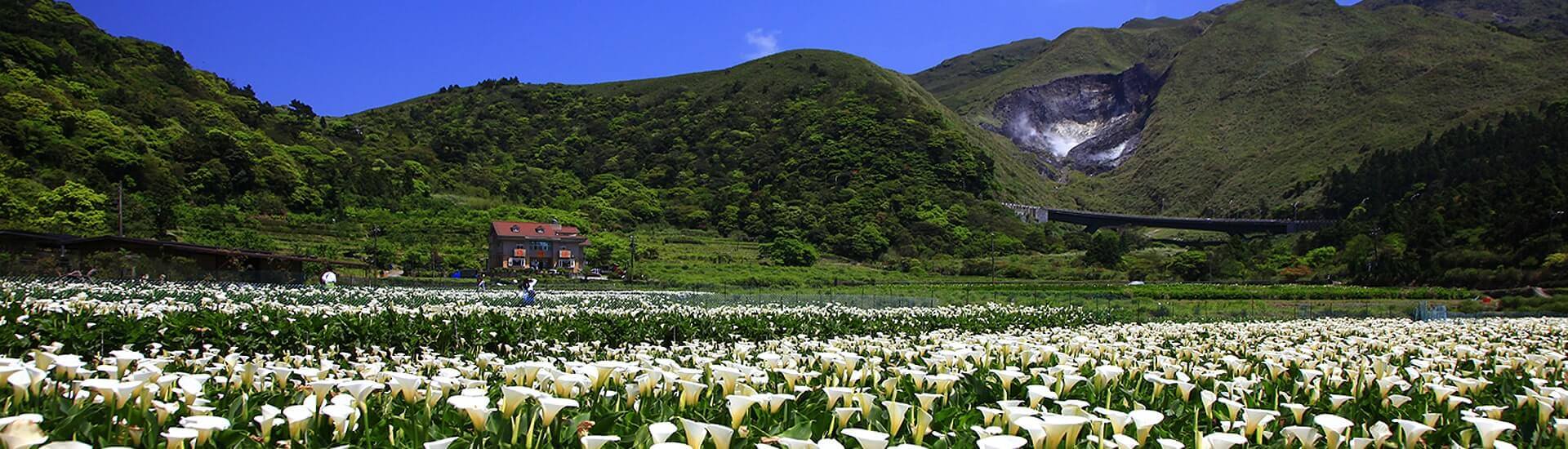 Beautiful outdoor scenic spot in Taipei highlighting vibrant natural landscape.