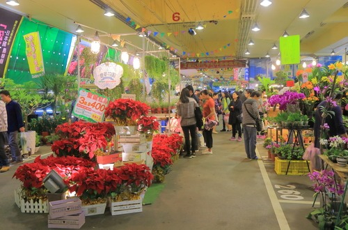 Jianguo Holiday Flower and Jade Market in Taipei, Taiwan